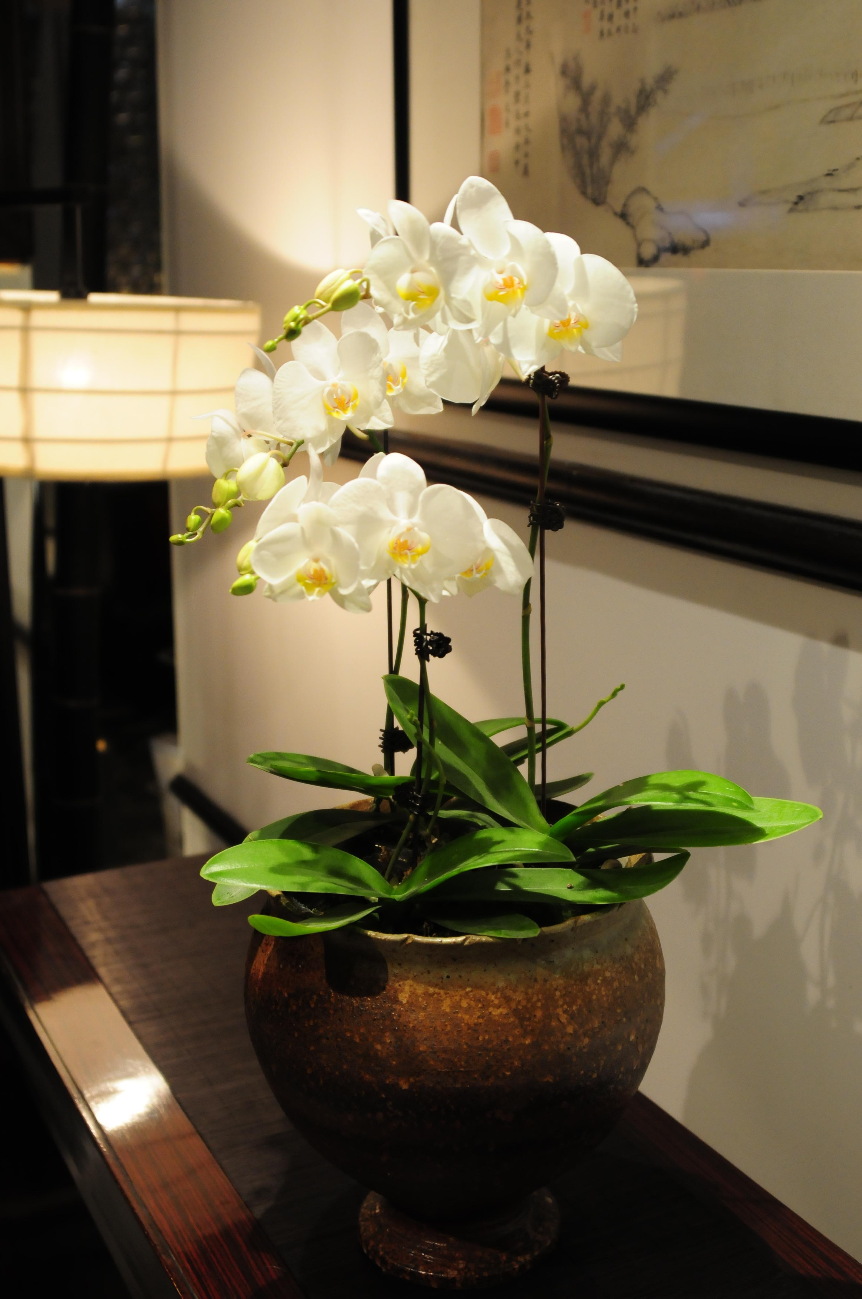 Redstar Culture Hotel Hangzhou Luaran gambar